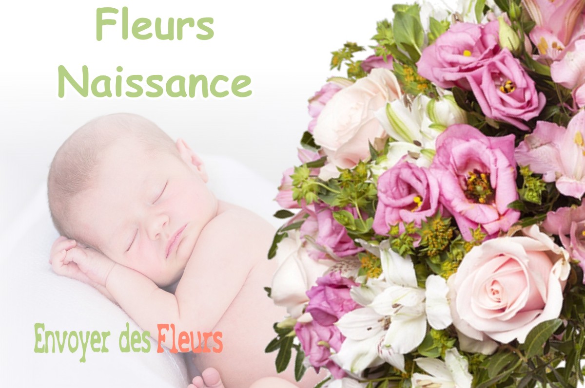 lIVRAISON FLEURS NAISSANCE à MIREPOIX-SUR-TARN